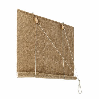 Rollo PaineRollo Paine – Bild 3