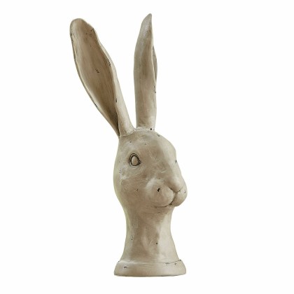 Hase NajirahHase Najirah – Bild 3