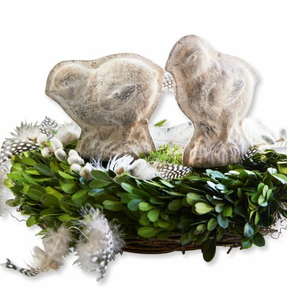 Küken 2er Set DiomedeKüken 2er Set Diomede – Bild 3