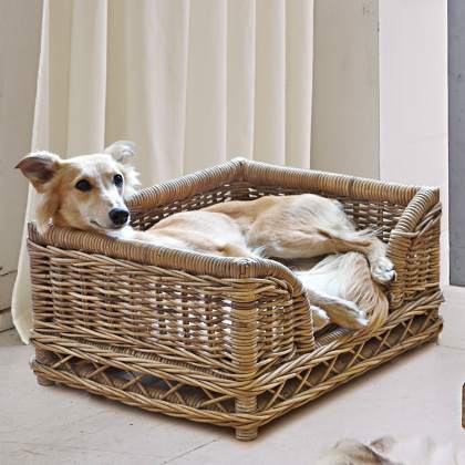 Haustierkorb GorronHaustierkorb Gorron – Bild 4