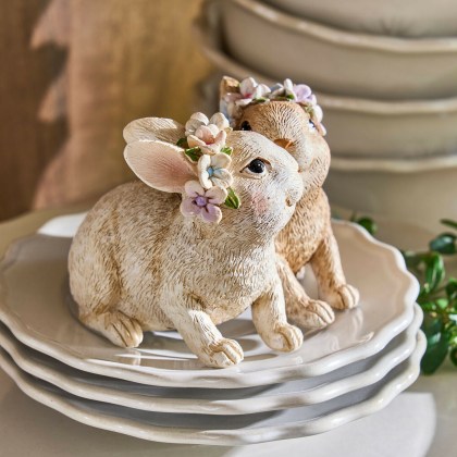 Hasen WillowmareHasen Willowmare – Bild 4