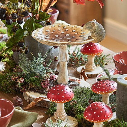 Deko-Pilz IsoliseDeko-Pilz Isolise – Bild 4