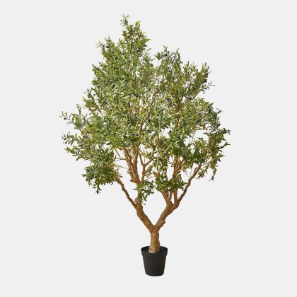 Deko-Olivenbaum Nolaria