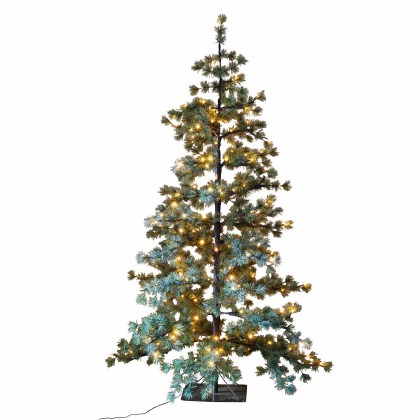 Weihnachtsbaum SapiWeihnachtsbaum Sapi – Bild 3