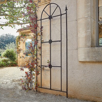 Rankhilfe SilvexonRankhilfe Silvexon – Bild 5