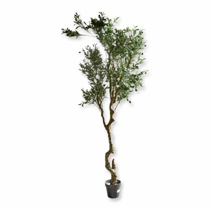 Deko-Topfpflanze DamblyDeko-Topfpflanze Dambly – Bild 3