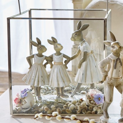 Hasen DanseusesHasen Danseuses – Bild 4