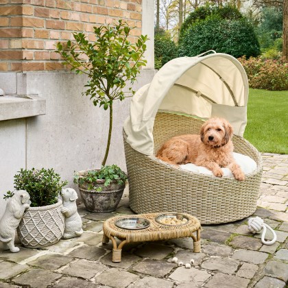 Futternapf mit Halterung PetivasFutternapf mit Halterung Petivas – Bild 4