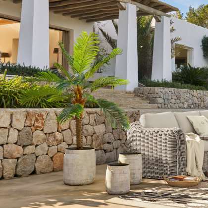 Deko-Topfpflanze ZephyrielDeko-Topfpflanze Zephyriel – Bild 4