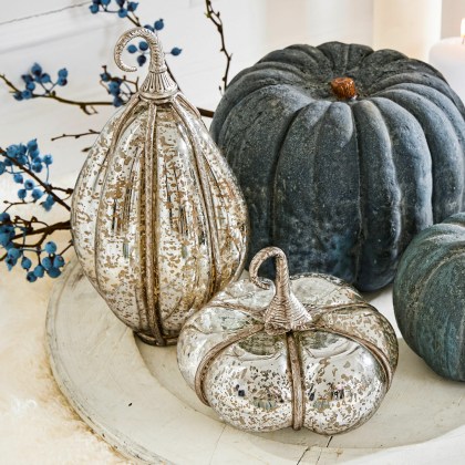 Kürbis 2er Set KiyoKürbis 2er Set Kiyo – Bild 5