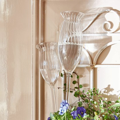 Bewässerungshilfe 2er Set RadisaBewässerungshilfe 2er Set Radisa – Bild 4