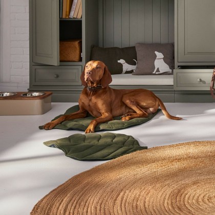 Haustiermatte KeirenaHaustiermatte Keirena – Bild 5