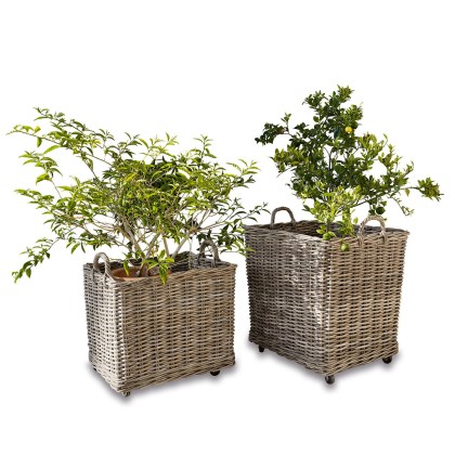 Pflanzkorb 2er Set GialousaPflanzkorb 2er Set Gialousa – Bild 3