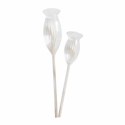 Bewässerungshilfe 2er Set RadisaBewässerungshilfe 2er Set Radisa – Bild 3