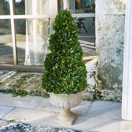 Deko-Baum HumbriaDeko-Baum Humbria – Bild 4