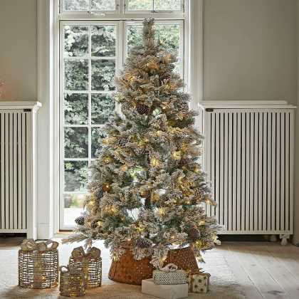 Weihnachtsbaum KarélisseWeihnachtsbaum Karélisse – Bild 4