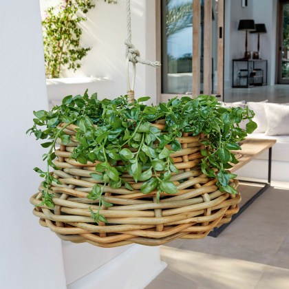 Hängekorb VillazHängekorb Villaz – Bild 4