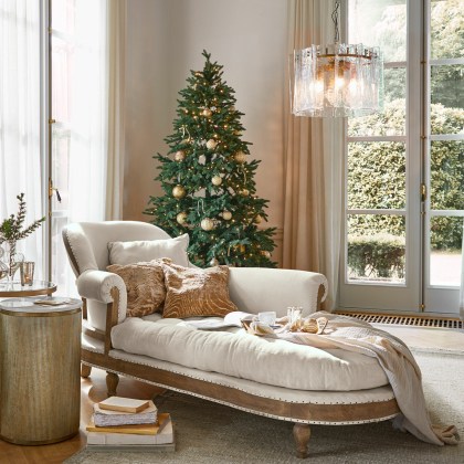 Weihnachtsbaum CelindorWeihnachtsbaum Celindor – Bild 4