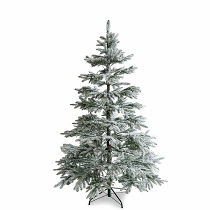 Weihnachtsbaum LokossaWeihnachtsbaum Lokossa – Bild 3