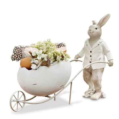 Hase JarisHase Jaris – Bild 3