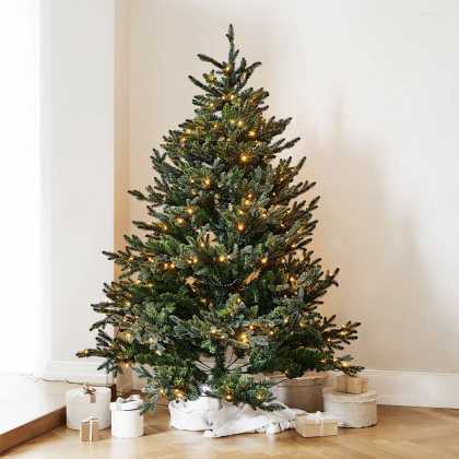 Weihnachtsbaum FranckWeihnachtsbaum Franck – Bild 5