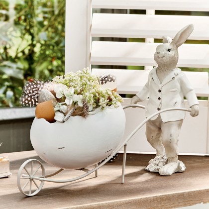 Hase JarisHase Jaris – Bild 4