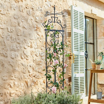 Rankgitter Cyrille Rankgitter Cyrille