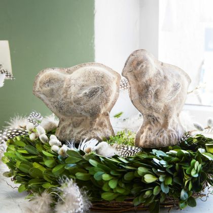 Küken 2er Set Diomede Küken 2er Set Diomede