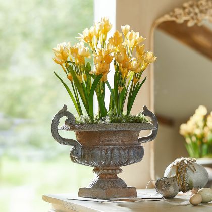 Amphore Iverlon Amphore Iverlon