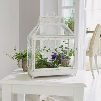 Laterne Couriar Laterne Couriar