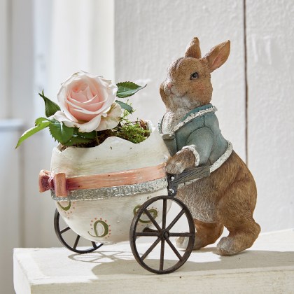 Hase Alençon Hase Alençon