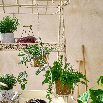 Blumenampel 2er Set Gavrielle Blumenampel 2er Set Gavrielle