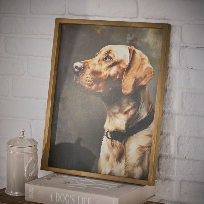 Bild Purrana Bild Purrana