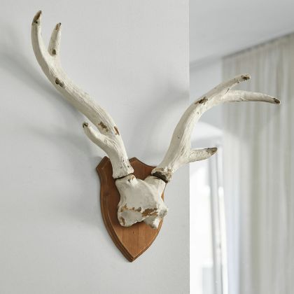 Deko-Geweih Talim Deko-Geweih Talim