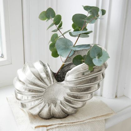 Deko-Ammonit Whirl Deko-Ammonit Whirl