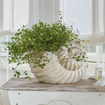 Übertopf Wavigny Übertopf Wavigny