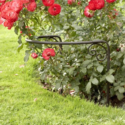 Rosenstütze Cunfin Rosenstütze Cunfin