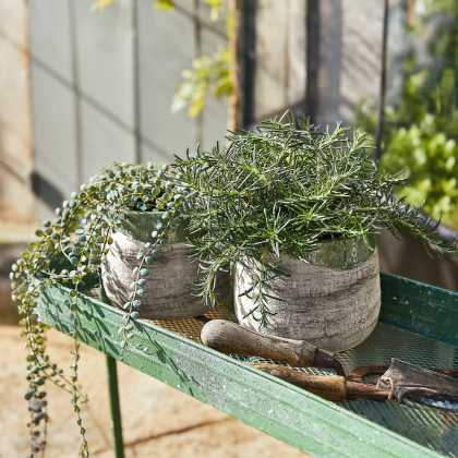 Pflanztopf 2er Set Malivon Pflanztopf 2er Set Malivon