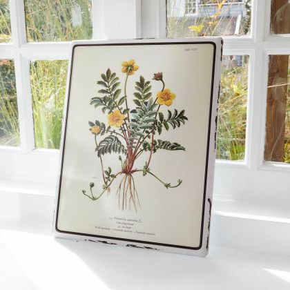 Deko-Schild Yolevir Deko-Schild Yolevir