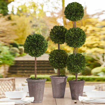 Deko-Baum Aube Deko-Baum Aube