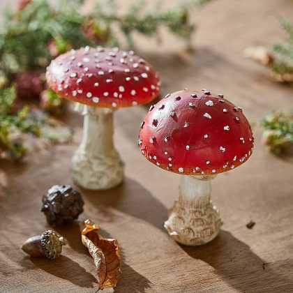 Deko-Pilz 2er Set Quintelle Deko-Pilz 2er Set Quintelle