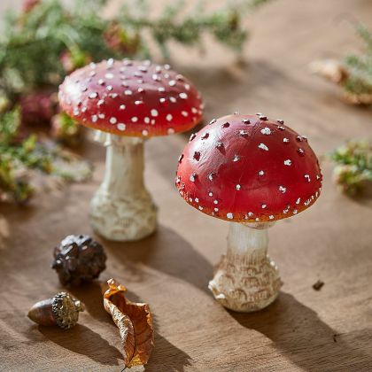 Deko-Pilz 2er Set Quintelle Deko-Pilz 2er Set Quintelle