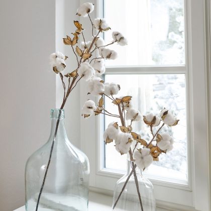 Zweig 3er Set Sauves Zweig 3er Set Sauves