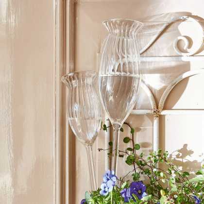 Bewässerungshilfe 2er Set Radisa Bewässerungshilfe 2er Set Radisa