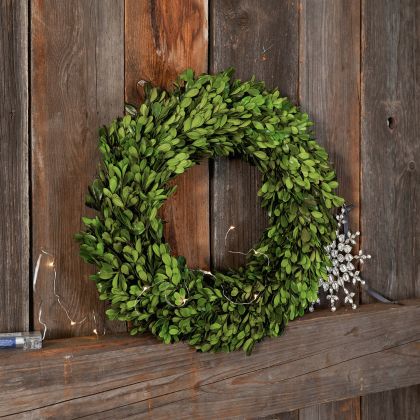 Kranz Myrcella Kranz Myrcella