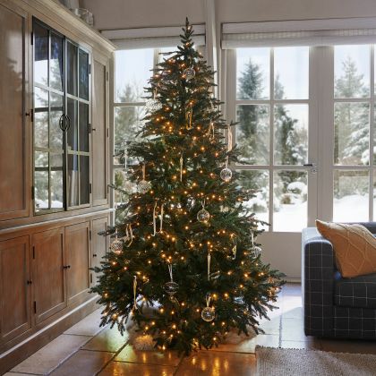 Weihnachtsbaum Celindor Weihnachtsbaum Celindor