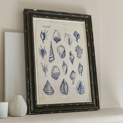 Dekoboard Allarmont Dekoboard Allarmont