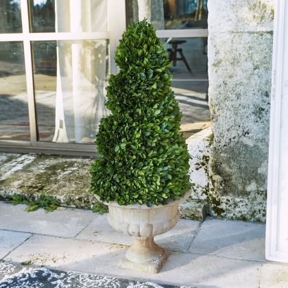 Deko-Baum Humbria Deko-Baum Humbria