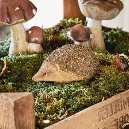 Deko-Igel Cotoca Deko-Igel Cotoca