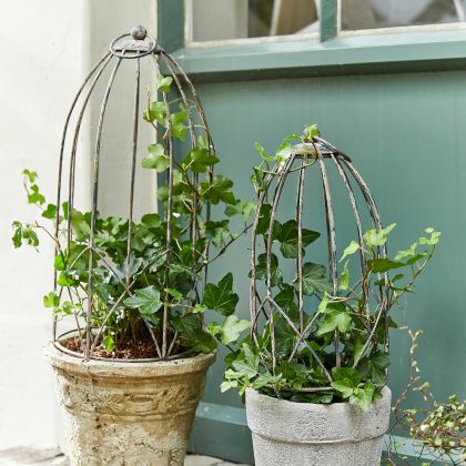 Rankhilfe 2er Set Arroyos Rankhilfe 2er Set Arroyos